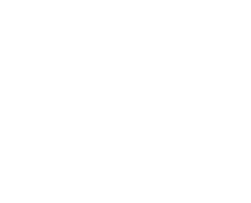 st logo w